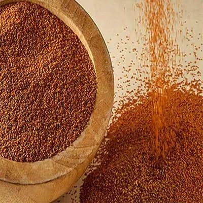 همه چیز درباره خواص خاکشیر برای بدن