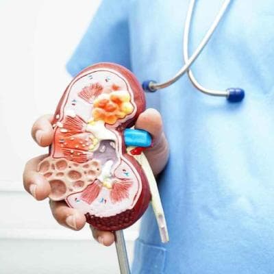 بیماری مزمن کلیه (CKD)؛ علائم پنهان، مراحل و درمان + رژیم غذایی