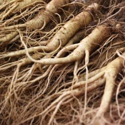 مهمترین تاثیرت قرص جينسينگ براي چاقي چیست؟