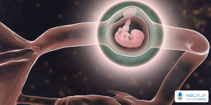 حدود 50 درصد از حاملگی‌ها در صورتی که تخمک لقاح یافته در مکانی غیر از رحم جایگزین شود، به پایان می‌رسند، که ممکن است باعث بارداری ناکامی یا خارج از رحم شود. در آمارها، حدود یک درصد از هر صد حاملگی در خارج از رحم اتفاق می‌افتد.