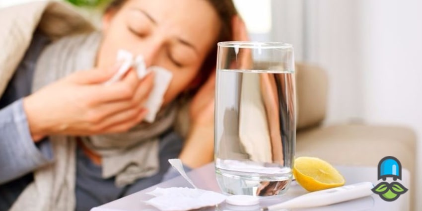 منابع طبیعی ویتامین سی برای پیشگیری سرماخوردگی