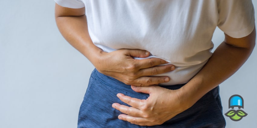 سالمونلا چیست؟