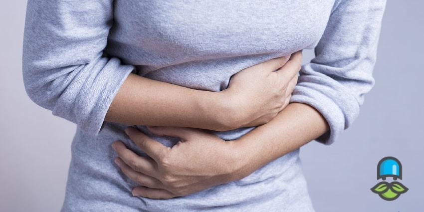 آشنایی با انواع سالمونلا