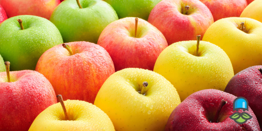 چرا آلودگی هوا قاتل خاموش ریه‌هاست؟