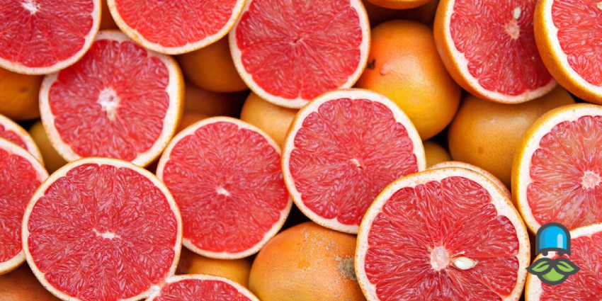 آشنایی با 5 تا از بهترین میوه‌ها برای پاکسازی ریه از آلودگی هوا