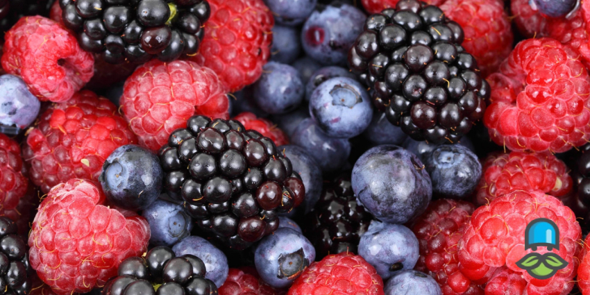  بهترین میوه‌ها برای پاکسازی ریه از آلودگی هوا