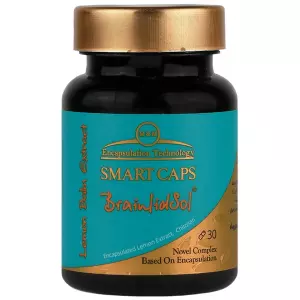 قرص برین لید سول مهر و ماه 30 عددی