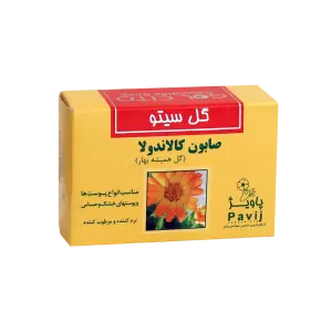 پن پوست حساس 100 گرمی