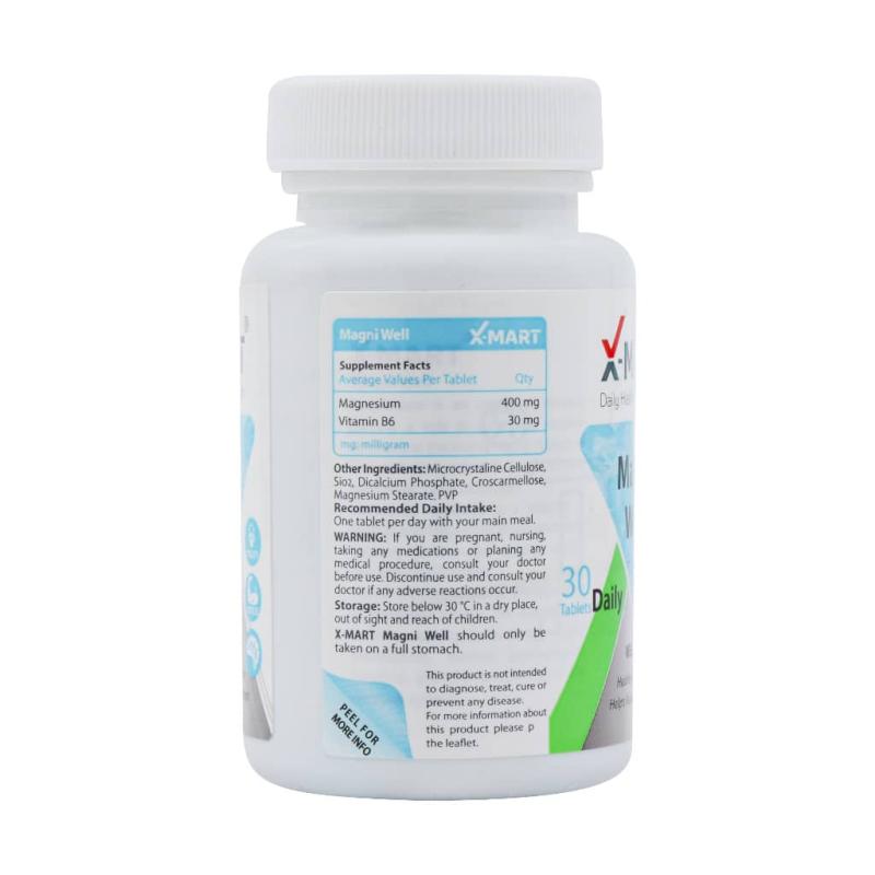 قرص مگنی ول ایکس مارت 60 عددی