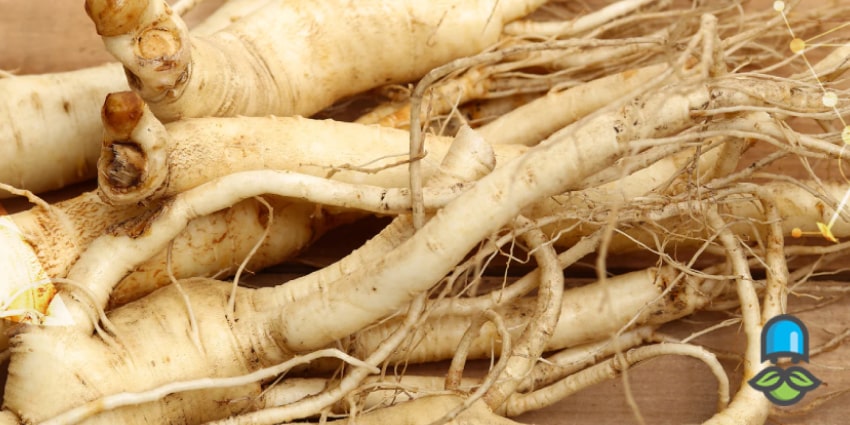 خطرات پنهان مکملهای تقلبی چاقی با نام قرص جينسينگ