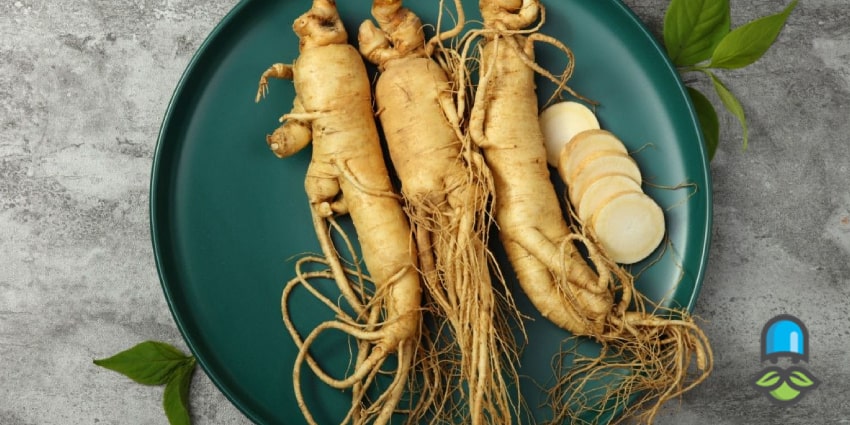 مهمترین تاثیرت قرص جينسينگ براي چاقي چیست؟