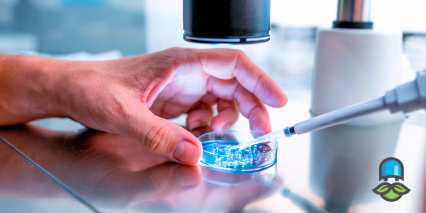 پانکچر چگونه انجام میشود؟