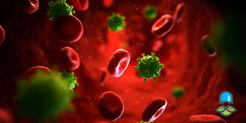 Yeztugo چیست و چگونه عمل می‌کند؟