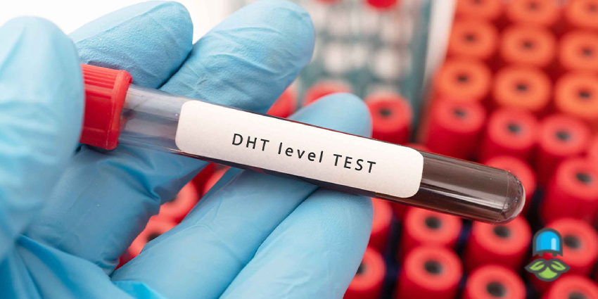 منظور از DHT چیست و از کجا میآید؟