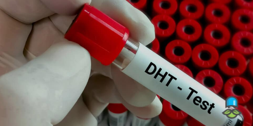 چگونه سطح DHT را متعادل نگه داریم؟