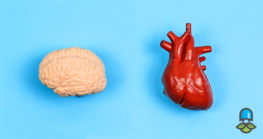 چه زمانی مصرف کلوپیدوگرل خطرناک میشود؟