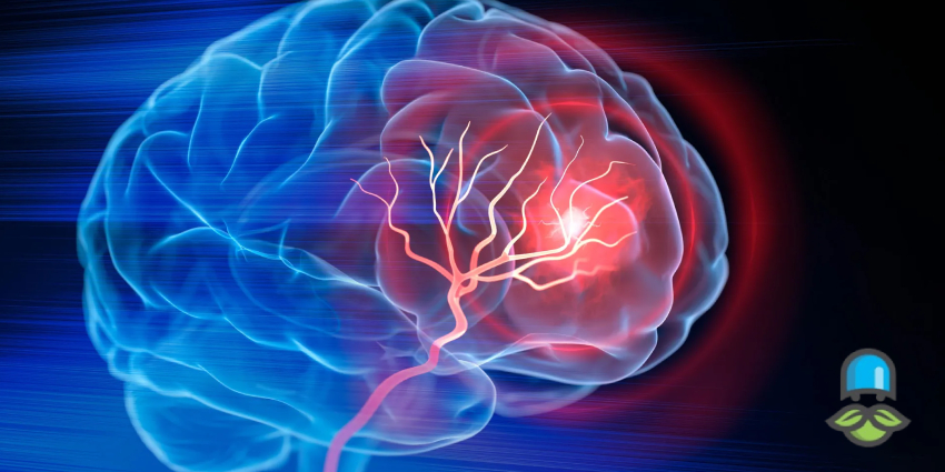 روش‌های غیر دارویی برای سلامت مغز