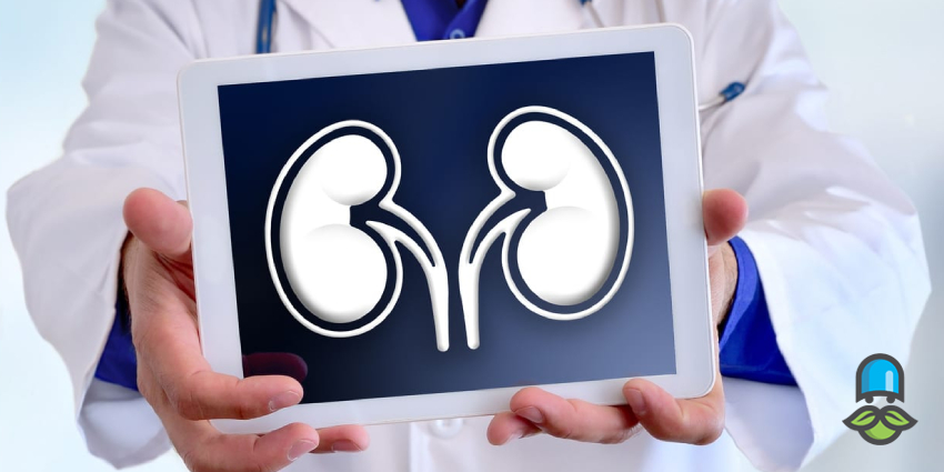 علائم پنهان و آشکار نارسایی کلیه