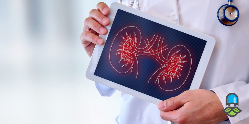 چرا کلیه‌ها بیمار می‌شوند؟