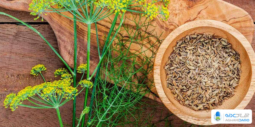 چرا رازیانه میتواند به کاهش وزن و لاغری کمک کند؟