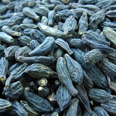 هلیله سیاه برای سفیدی مو؛ آیا واقعا موثر است؟