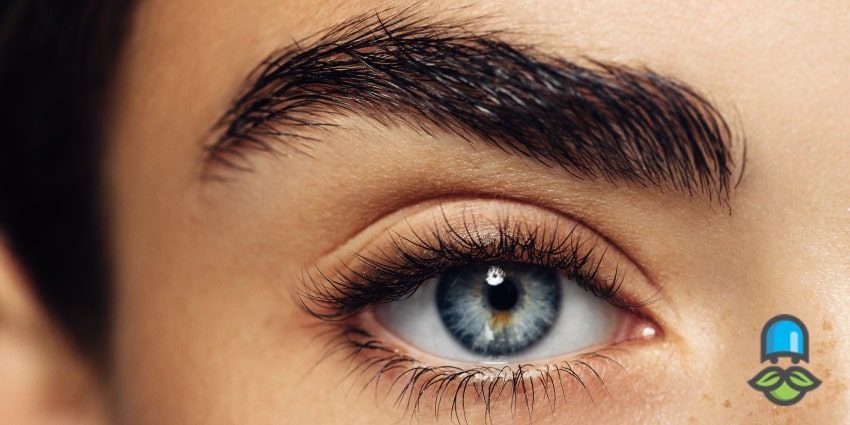 تاثیر تغذیه بر سلامت ابرو