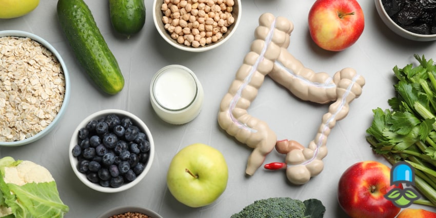 برترین غذاهای تخمیری برای سلامت گوارش