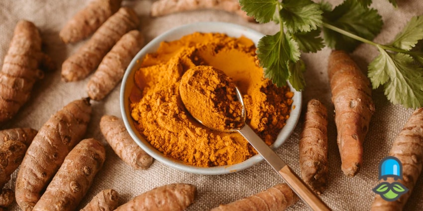 چگونه زردچوبه التهاب را مهار می‌کند؟