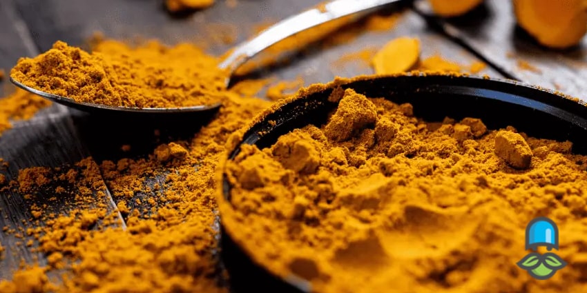 بهترین روش ترکیب زردچوبه با رژیم غذایی