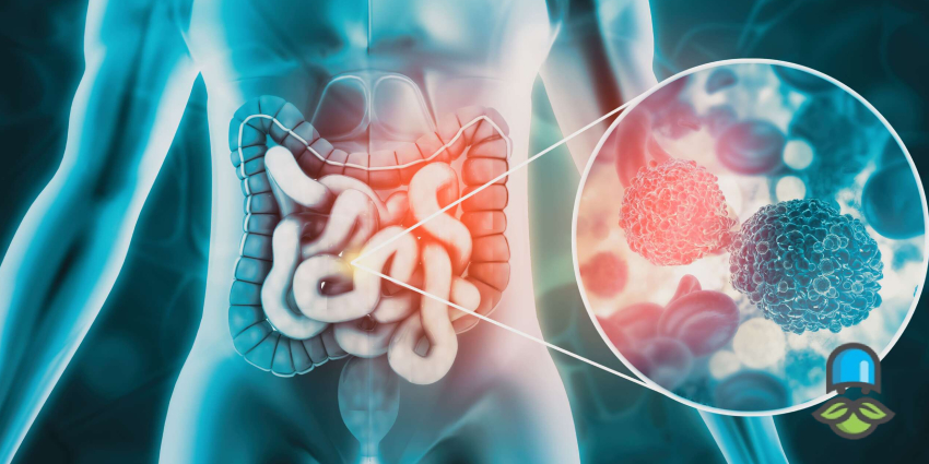 هلیکوباکتر پیلوری چیست؟