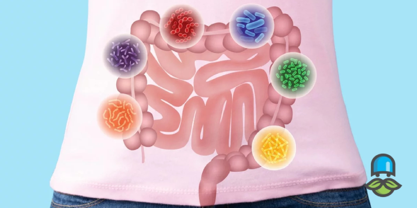 ارتباط میکروب معده و سلامت روان