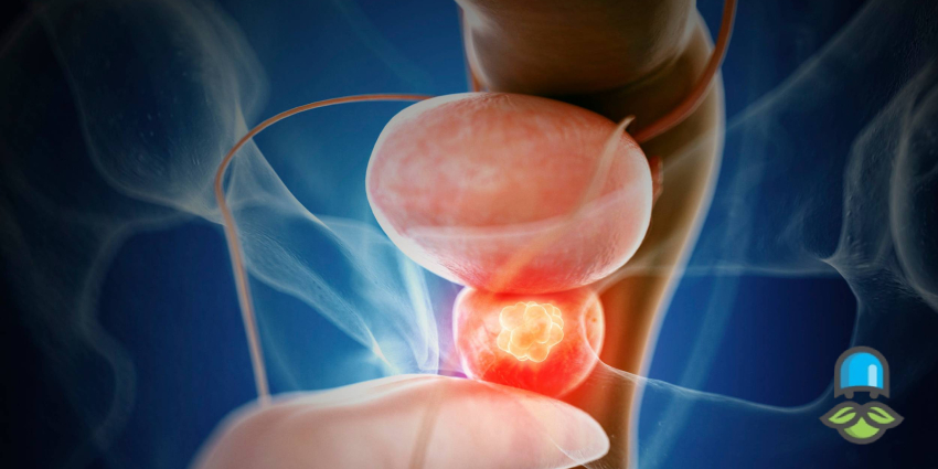 چه زمانی باید به دکتر مراجعه کنیم؟