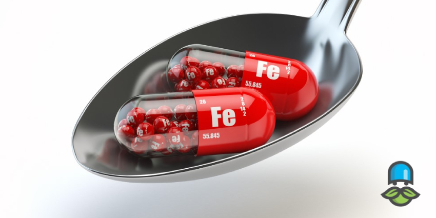 بعد از خوردن قرص آهن چه چیزهایی نباید خورد؟