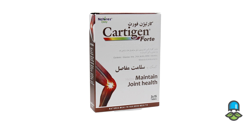 کارتیژن فورت چیست؟