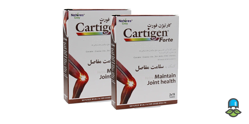 کارتیژن فورت چیست؟