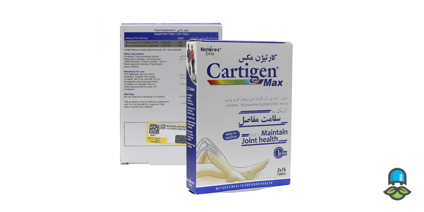 کارتیژن مکس چیست؟