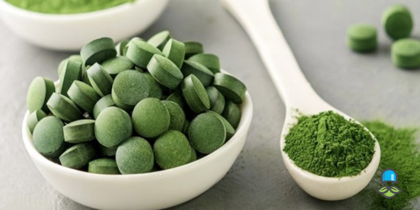 آلگومد چیست؟