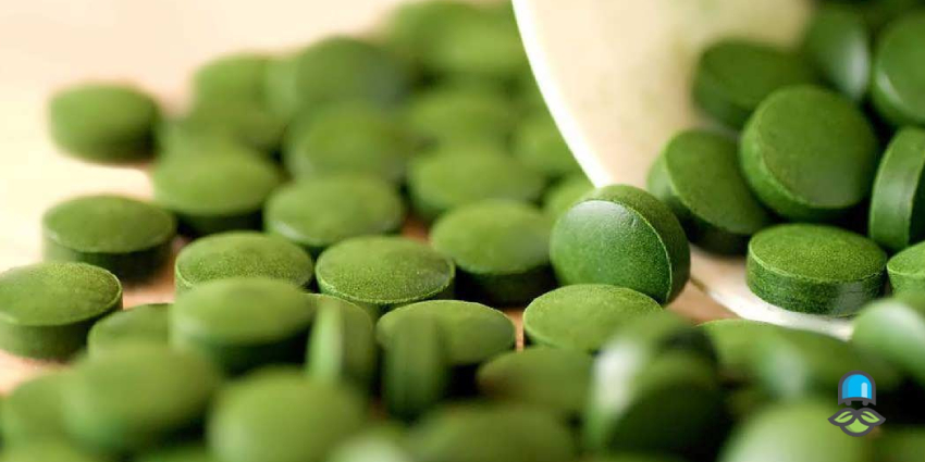 فواید مکمل آلگومد برای ورزشکاران و بدنسازان