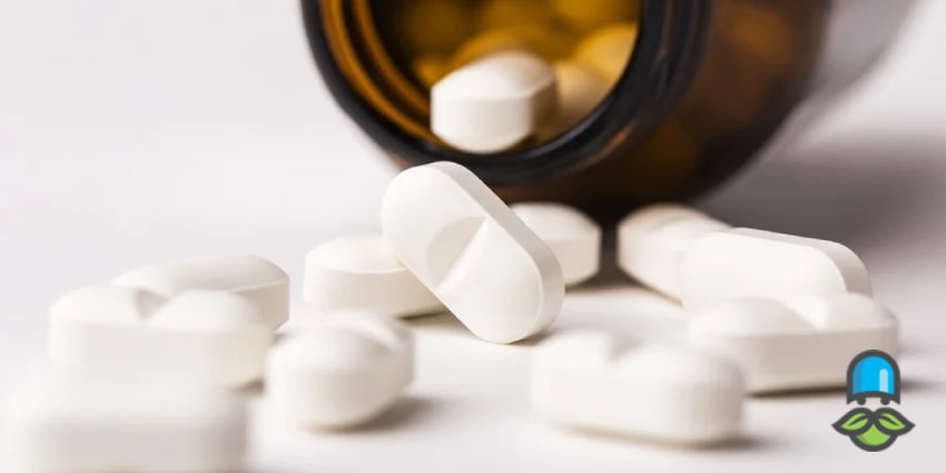 زمان طلایی مصرف مگنیفورت