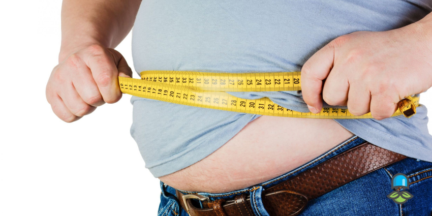 روش‌های تغذیه‌ای برای نابودی چربی شکم