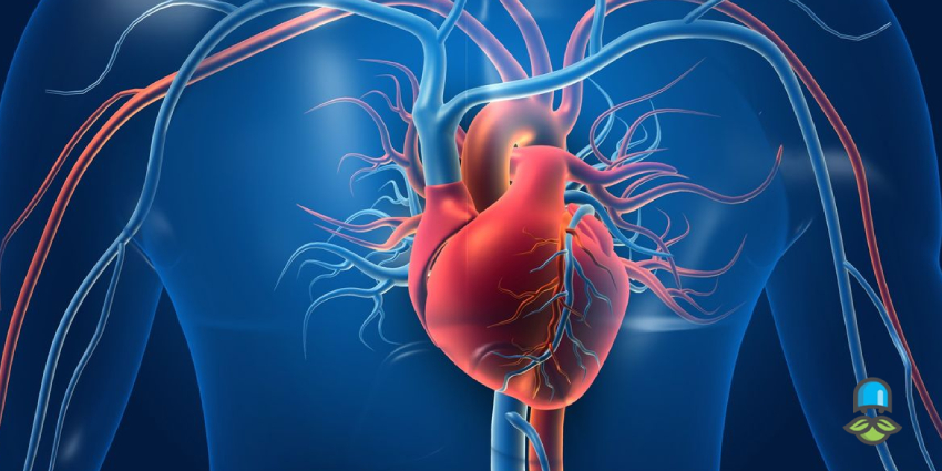 آیا قطع ناگهانی پلاویکس یا اسویکس خطرناک است؟