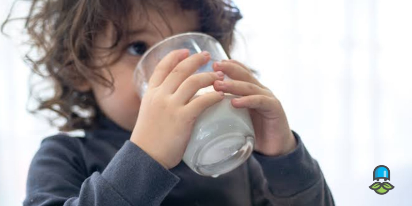 چرا باید جایگزینی برای لبنیات کودک پیدا کنیم؟
