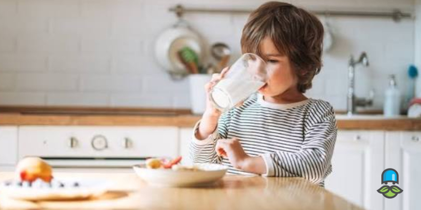 بهترین گزینههای جایگزین لبنیات برای کودکان