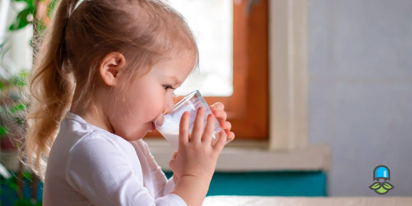 نکات مهم هنگام خرید جایگزین لبنیات