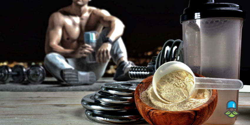 آیا مصرف همزمان پروتئین وی و کراتین باعث کبد چرب میشود؟