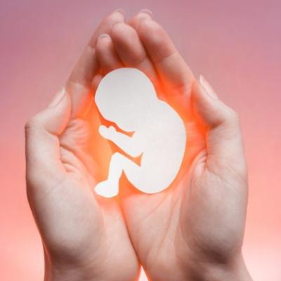 موثرترین مواد گیاهی در سقط جنین