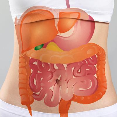 چگونه جذب روده را بالا ببریم؟ علت جذب نشدن مواد مغذی در بدن