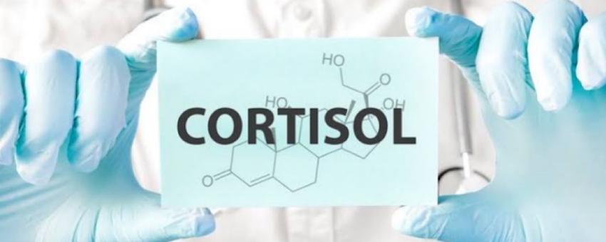 کاهش کورتیزول؛ آیا سطح هورمون استرس شما بالاست؟