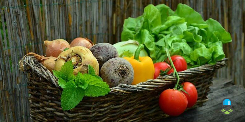 آشنایی با رژیم دوکان
