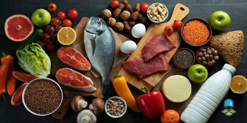 چهار بخش اصلی رژیم دوکان 